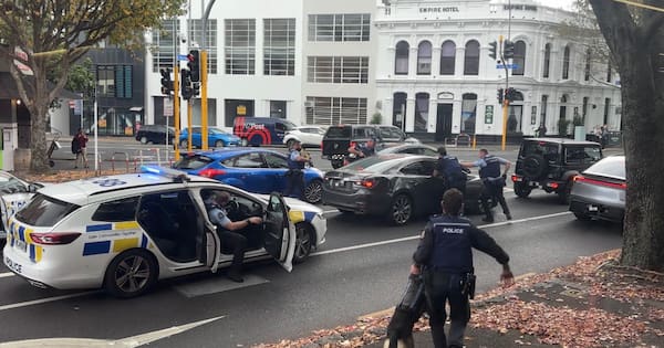 Fleeing driver incident ends in dramatic arrests in Auckland