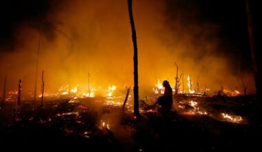 Brazil's Amazon deforestation rates drop, but El Nino could threaten recovery