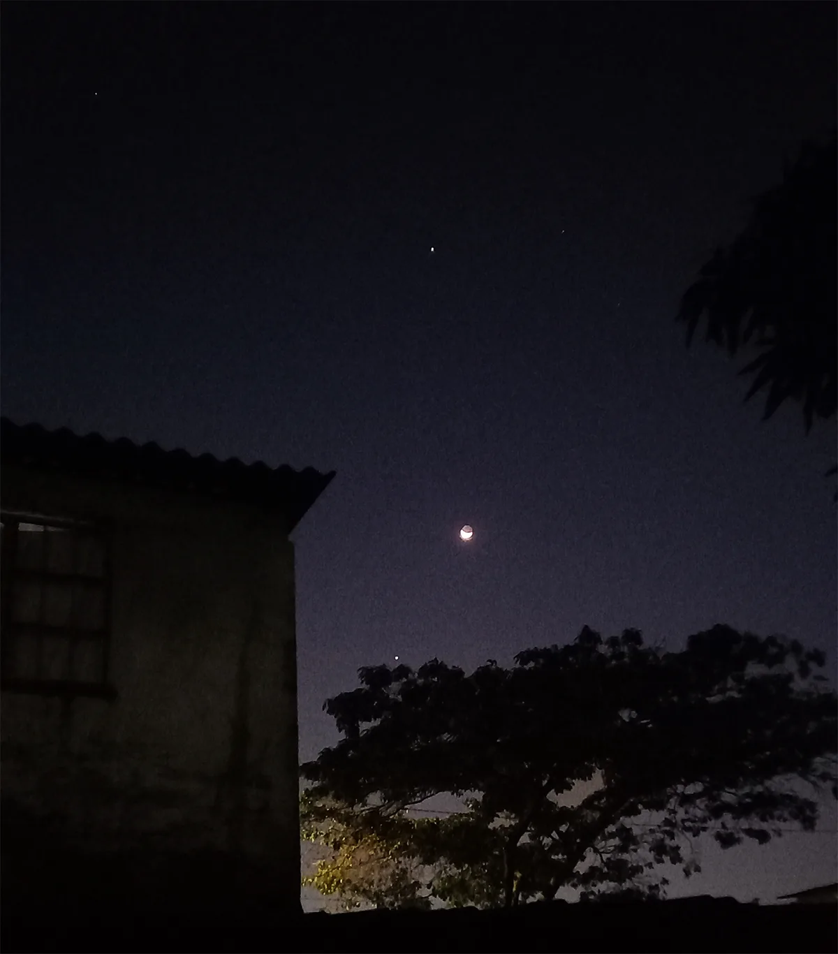 Venus is just above the left side of the large tree. The crescent Moon is above Venus. Further up, the bright 'star' is Jupiter. To Jupiter's right is Pollox, one of the twin stars of Gemini