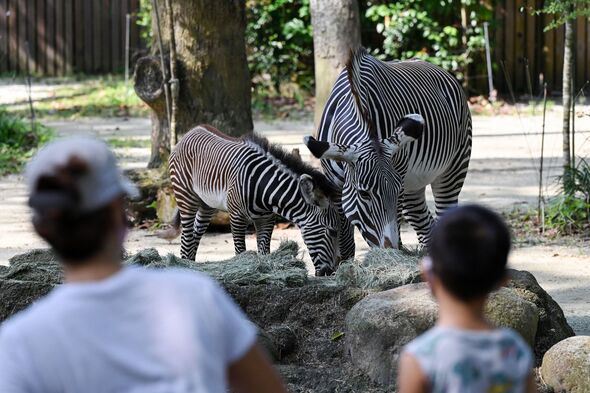SINGAPORE-ANIMAL-ZOO SINGAPORE-ANIMAL-ZOO