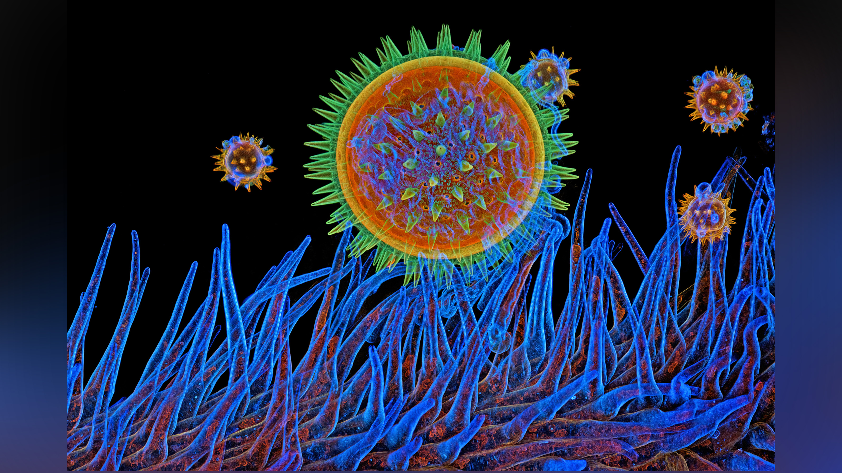 Microscopic image of pollen.