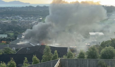 Waikanae house fire sends smoke across neighbourhood