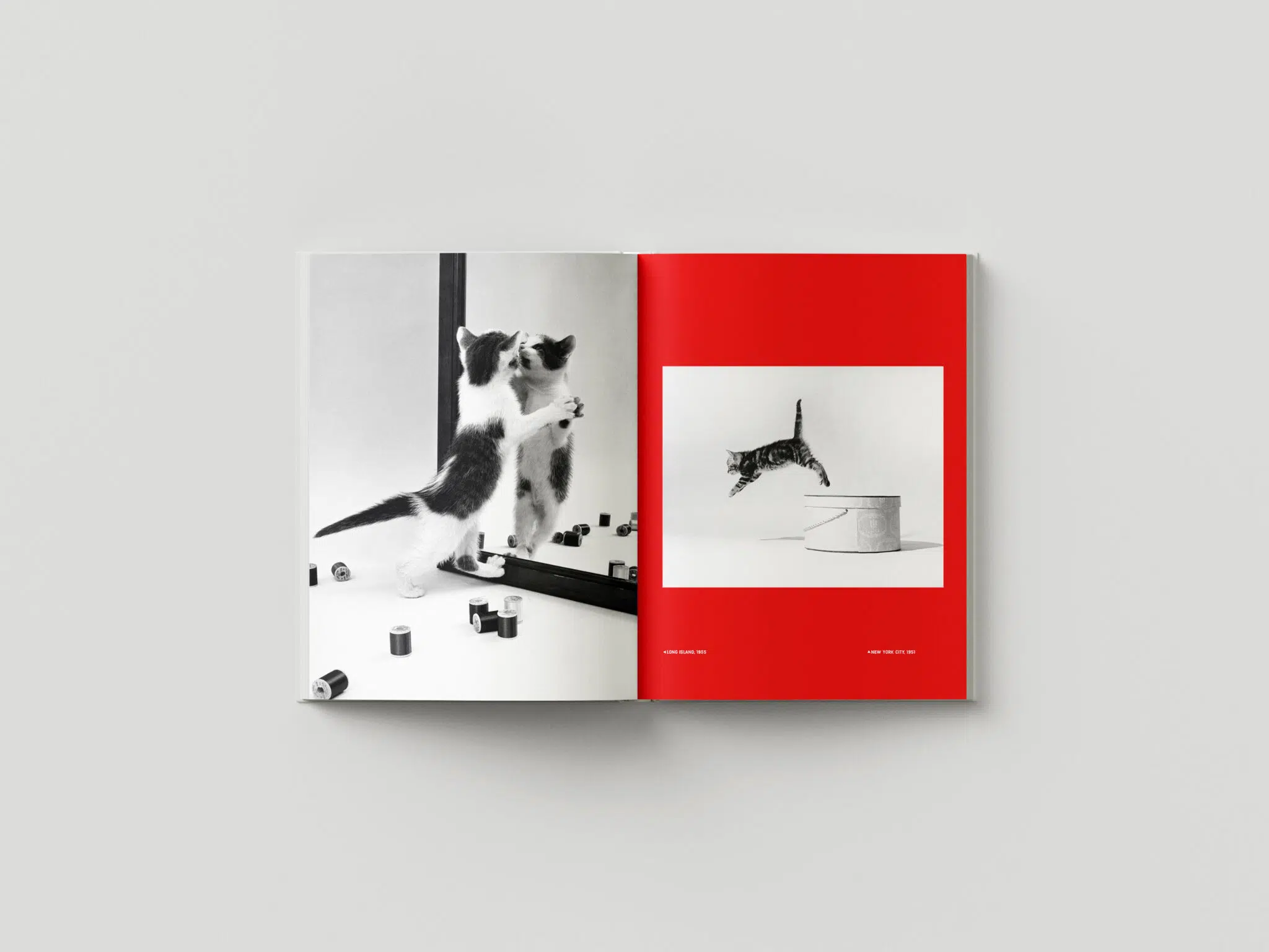 A spread from “Walter Chandoha: Family Cats From the Archive 1949–1962,” published by Damiani Books