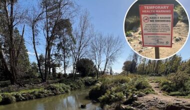 Fatberg forces closure of Rotorua waterhole