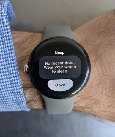 Picture of a bug-infested Pixel Watch and the message it has for users.