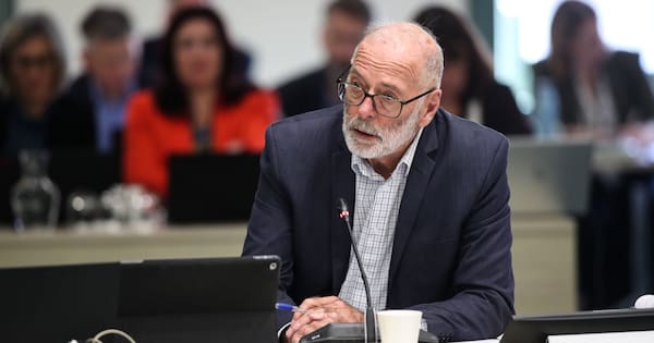 Auckland Mayor Wayne Brown mulls buying at-risk Kaitāia mills
