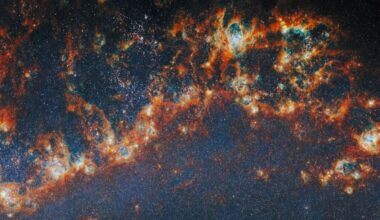This is one of the arms in M51, a spiral galaxy also known by its popular name the Whirlpool galaxy. The JWST captured this image with its Near-Infrared Camera (NIRCam). The image is part of an effort to study star clusters, and how their stellar feedback shapess further star formation and galaxy evolution. Image Credit: ESA/Webb, NASA &amp; CSA, A. Pedrini, A. Adamo (Stockholm University) and the FEAST JWST team