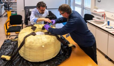 Is it cake? No, it's a parachute! photo of the day for May 1, 2026