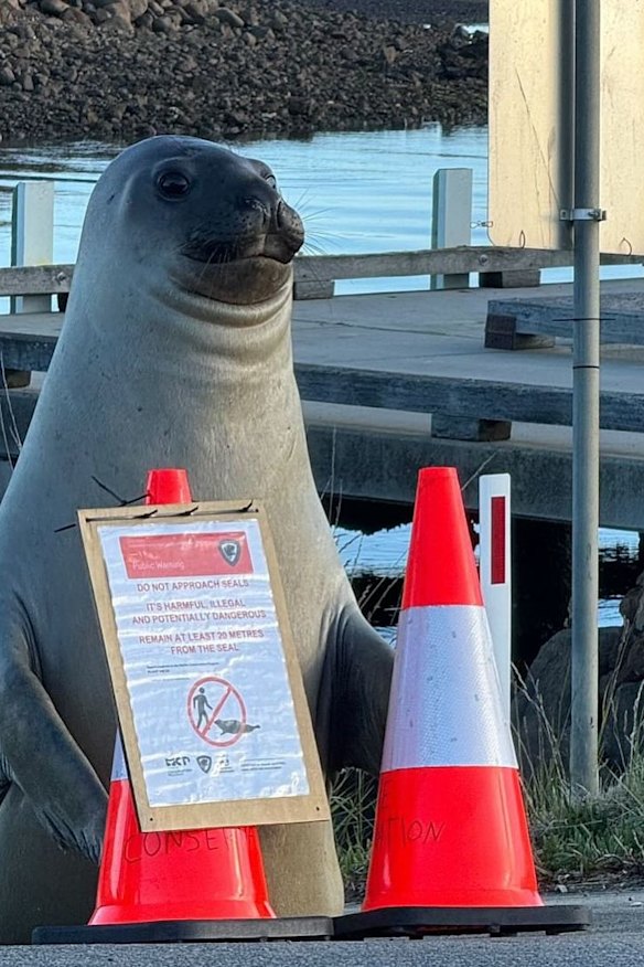 Local authorities urged the public to give Neil space during a visit in 2024.