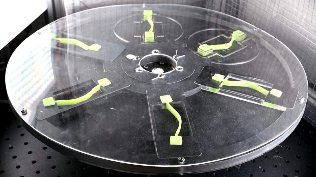 Physicists create mechanical memory device from slap-bracelet-like structures – Physics World