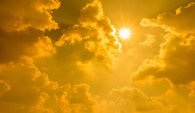 El Niño declaration adds new pressure to a New Zealand soft market already watching the sky