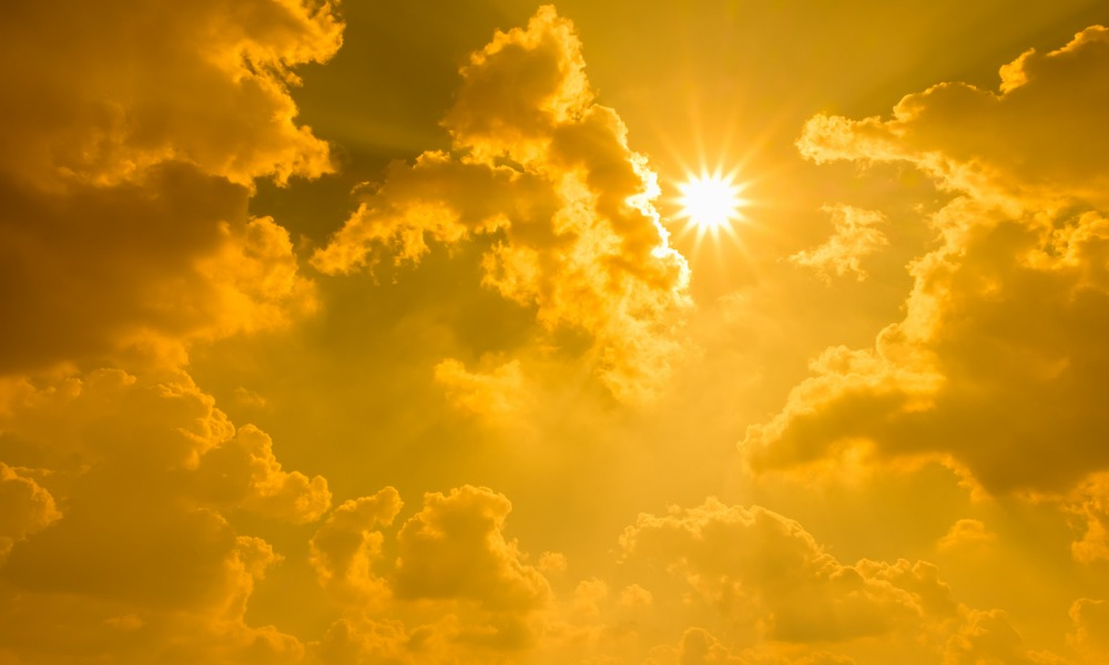 El Niño declaration adds new pressure to a New Zealand soft market already watching the sky