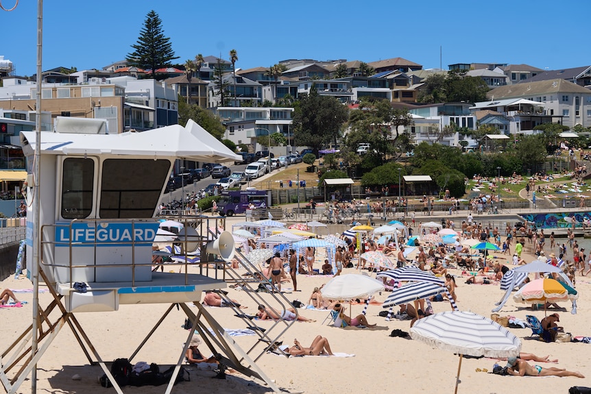 People enjoying the hot weather at Bondi Beach.