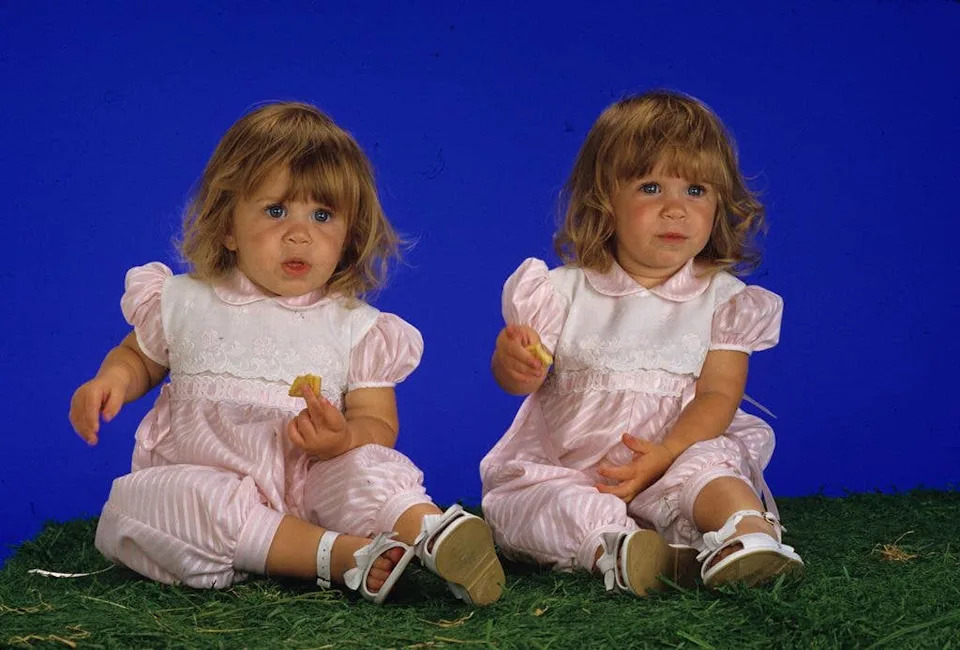 Ashley Olsen and Mary Kate, played Michelle Tanner on Full House