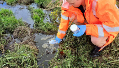 SunLive - Farmer fined $39k for effluent breaches