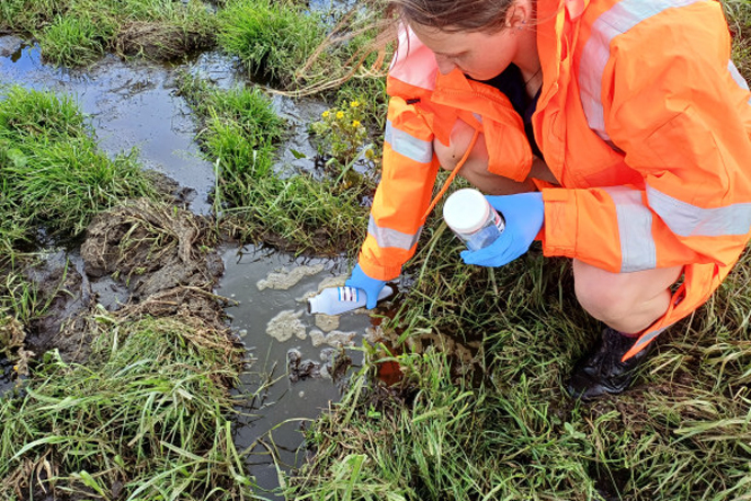SunLive - Farmer fined $39k for effluent breaches