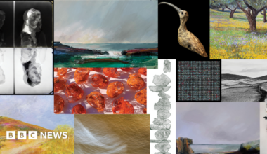 A small collage of 12 pieces on display. The works featured in the collage are photographs, sculptures, paintings and sketches. They cover wildlife, landscapes and portraits.