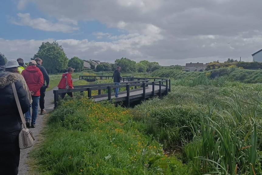 A group of people walk over a small bridge in long lush green grass.