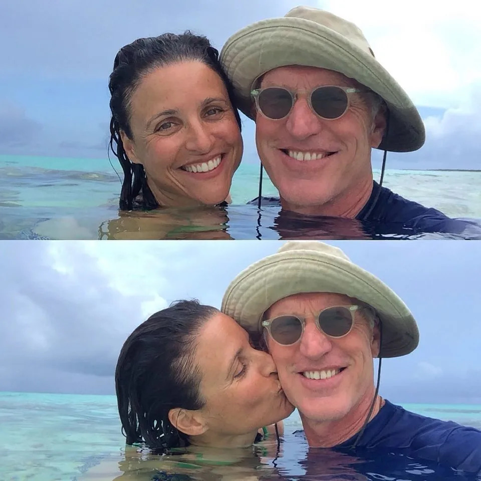 Julia Louis-Dreyfus and Brad HallCredit: Julia Louis-Dreyfus/Instagram