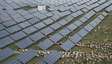 China's state subsidies up to eight times more than OECD's, report says