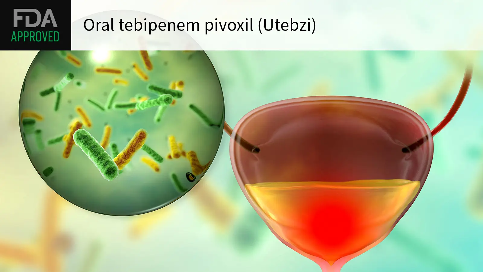 FDA APPROVED Oral tebipenem pivoxil (Utebzi) over a computer rendering of a urinary tract infection.