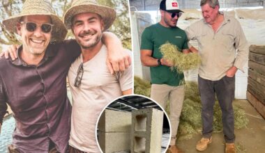 Zac Efron secretly building dream home in massive remote Australia rainforest, developer reveals