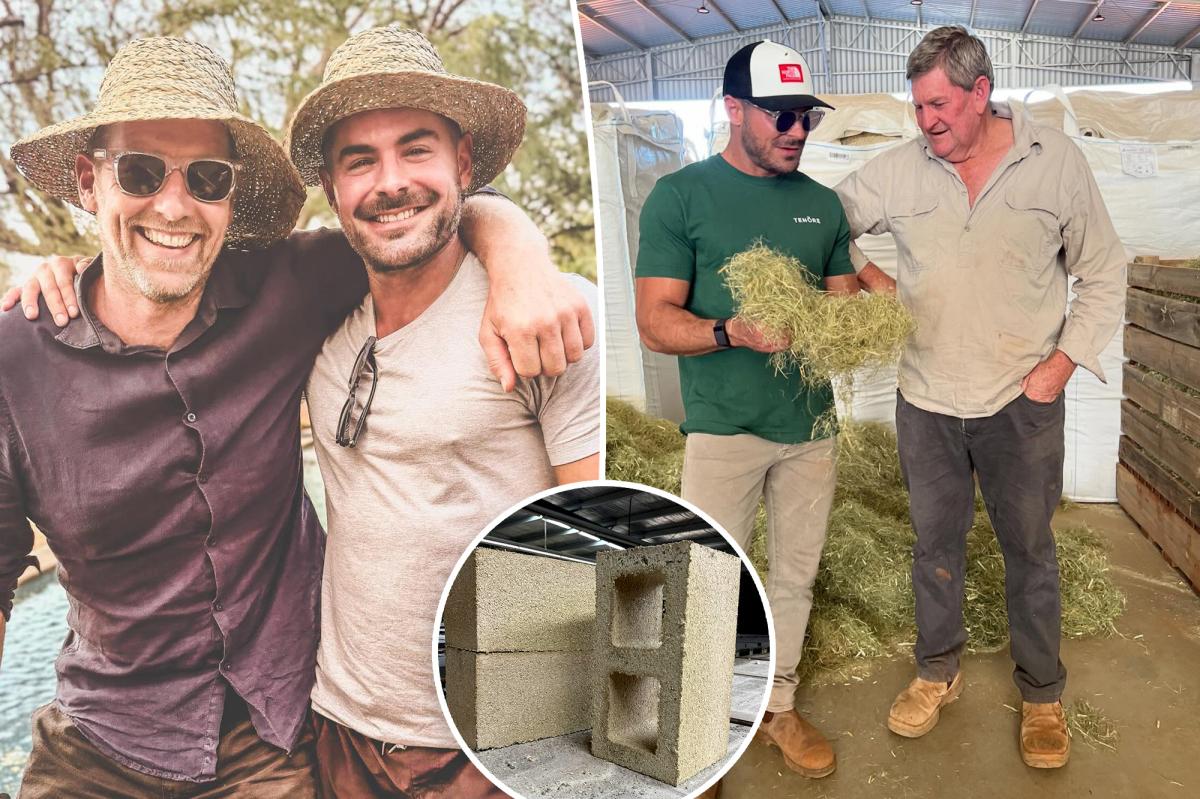 Zac Efron secretly building dream home in massive remote Australia rainforest, developer reveals