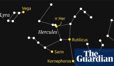 Starwatch: how to spot Hercules the hero, jewel of the summer skies | Astronomy