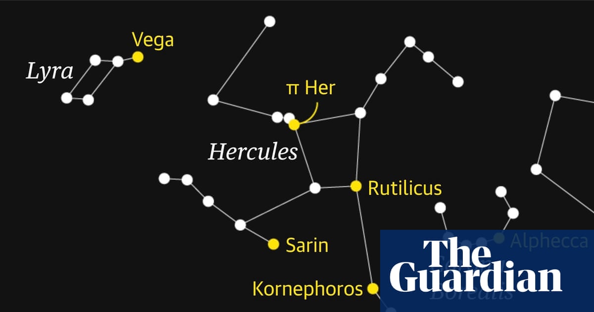 Starwatch: how to spot Hercules the hero, jewel of the summer skies | Astronomy