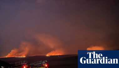 Wednesday briefing: How can the UK protect its landscape in an increasingly hot world? | Wildlife