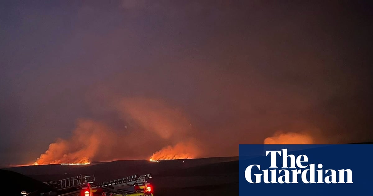 Wednesday briefing: How can the UK protect its landscape in an increasingly hot world? | Wildlife