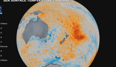 What's El Niño and how might it impact NZ's weather?