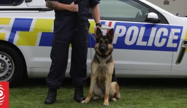Naked man who tried to drown police dog in Auckland charged