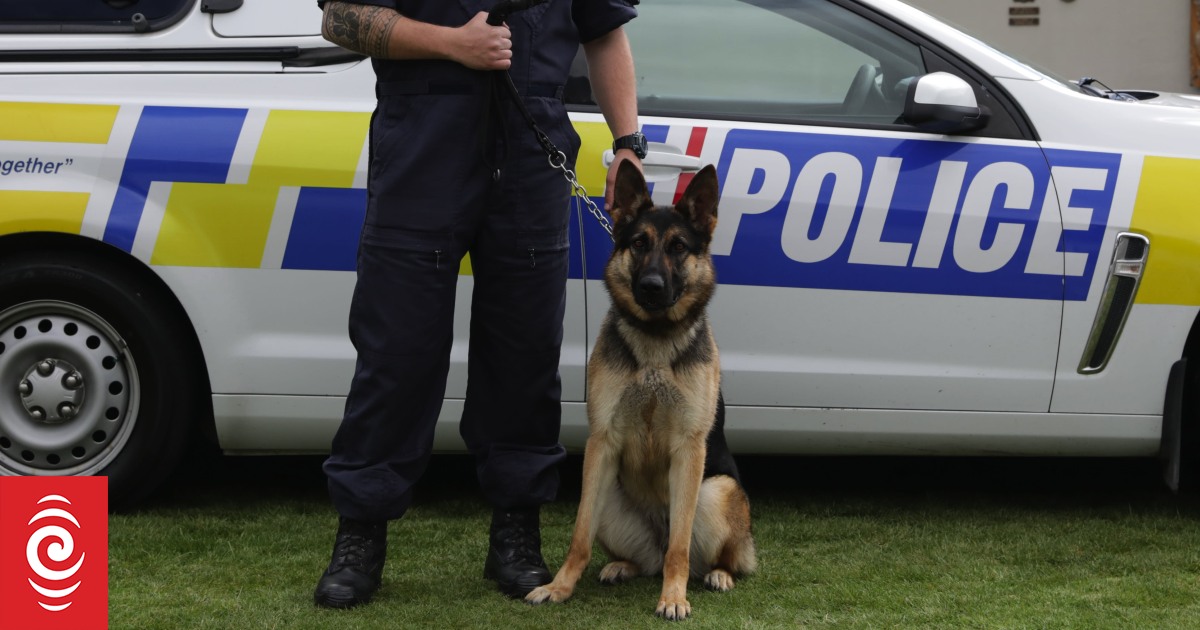 Naked man who tried to drown police dog in Auckland charged
