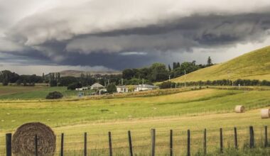 Fed Farmers want farm plans to replace costly resource consents