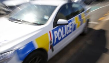 Police cars rammed after fleeing car spiked, catches fire in Hawke’s Bay