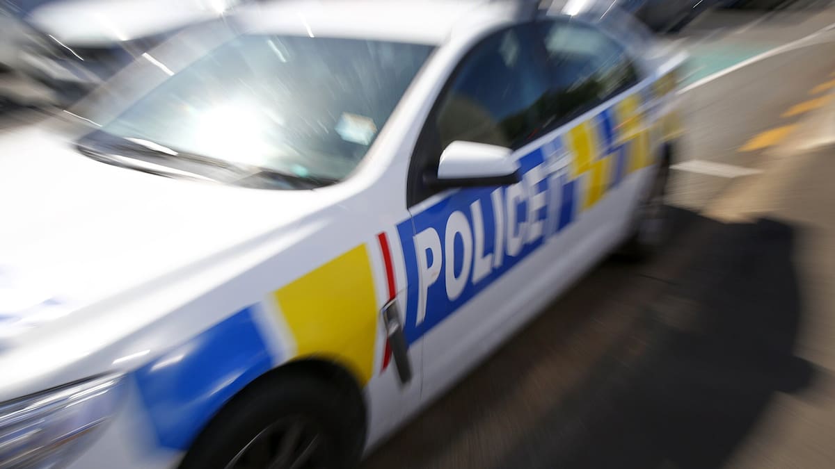 Police cars rammed after fleeing car spiked, catches fire in Hawke’s Bay