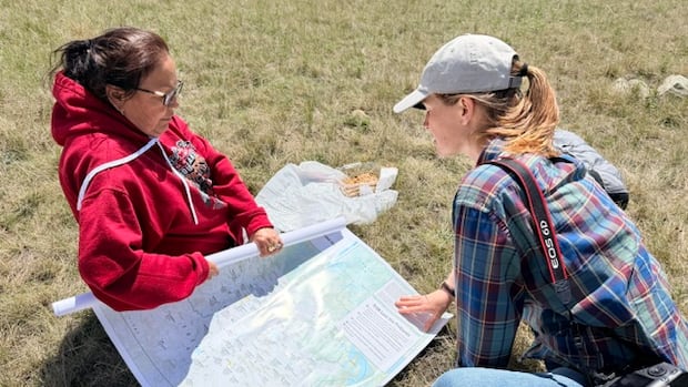Knowledge keepers creating inventory of medicinal plants found on land shared by Prairie farmers