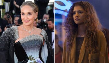 Sharon Stone says 'Euphoria' should be shown in 'every high school'
