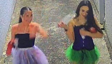 New information emerges in police probe into Morningside Halloween attack