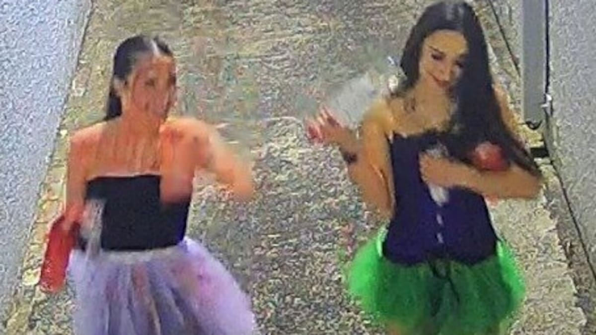 New information emerges in police probe into Morningside Halloween attack
