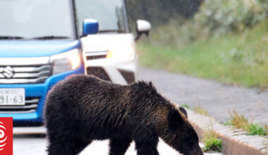 Mass school closures in Japan as bear roams streets