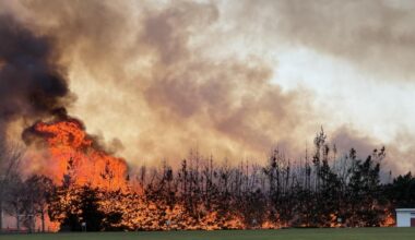 Vegetation fire near Waitaki Boys' contained