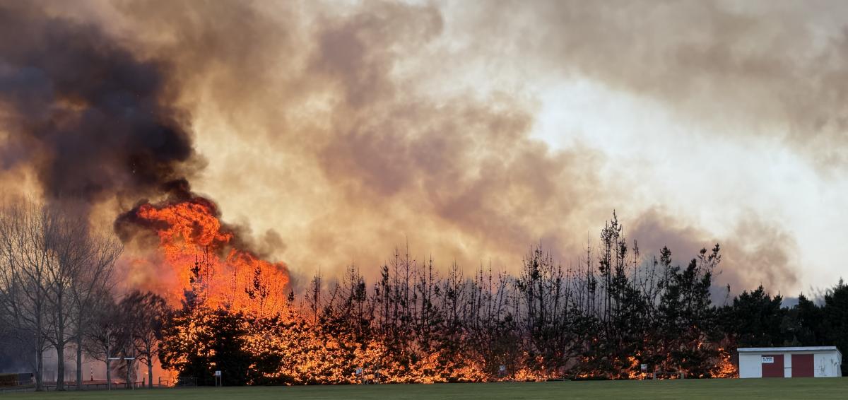 Vegetation fire near Waitaki Boys' contained
