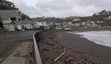 'Danger has reduced': Relief in Wellington as huge swells ease