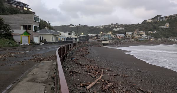 'Danger has reduced': Relief in Wellington as huge swells ease