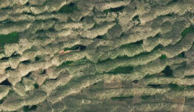 June 2026 Satellite Puzzler - NASA Science
