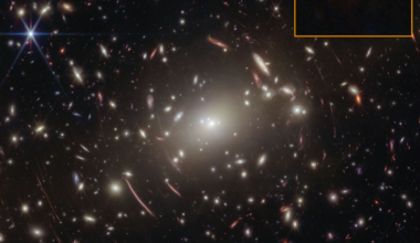 NASA Webb Finds Strongest Evidence Yet for ‘Black Hole Stars’