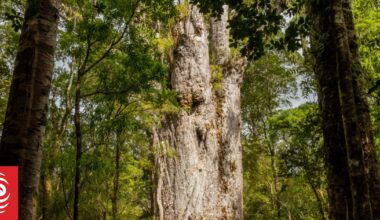 Warming winters are changing NZ’s landscapes, bringing insect pests, smaller fruit and carbon loss