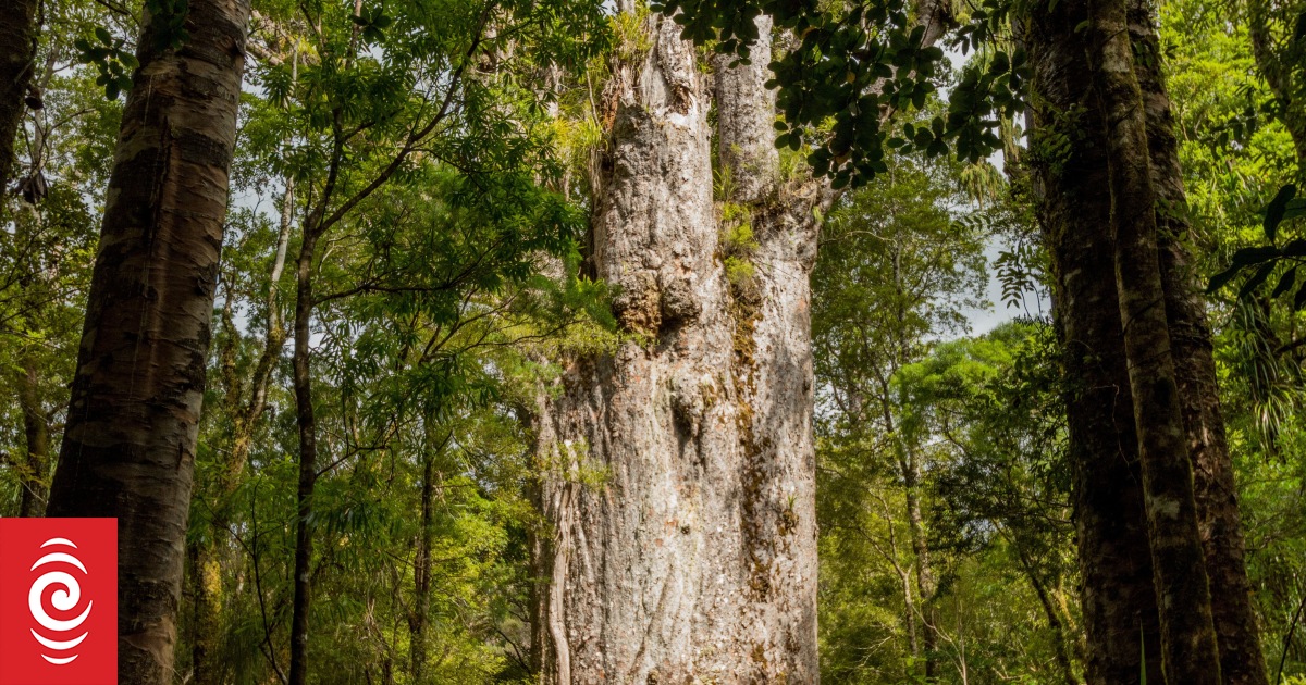 Warming winters are changing NZ’s landscapes, bringing insect pests, smaller fruit and carbon loss